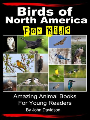 cover image of Birds of North America For Kids